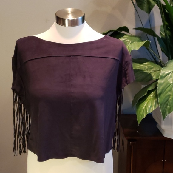 Zara Tops - ZARA☝️👌🔊🔊🔊faux suede TOP